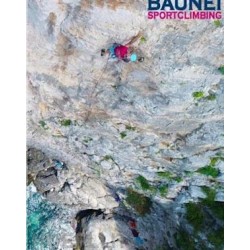 BAUNEI21