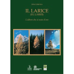 L00010062