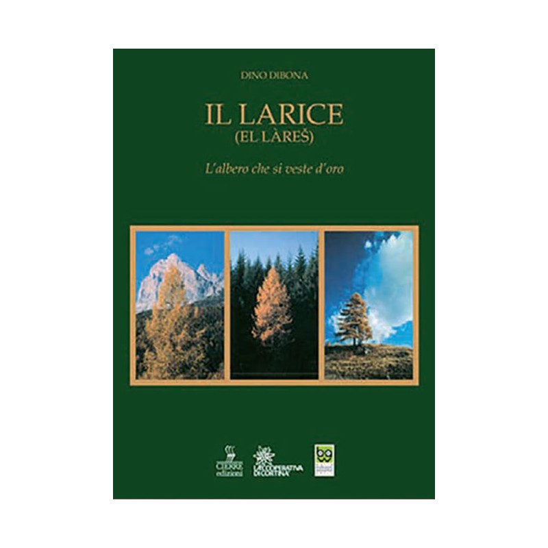 L00010062