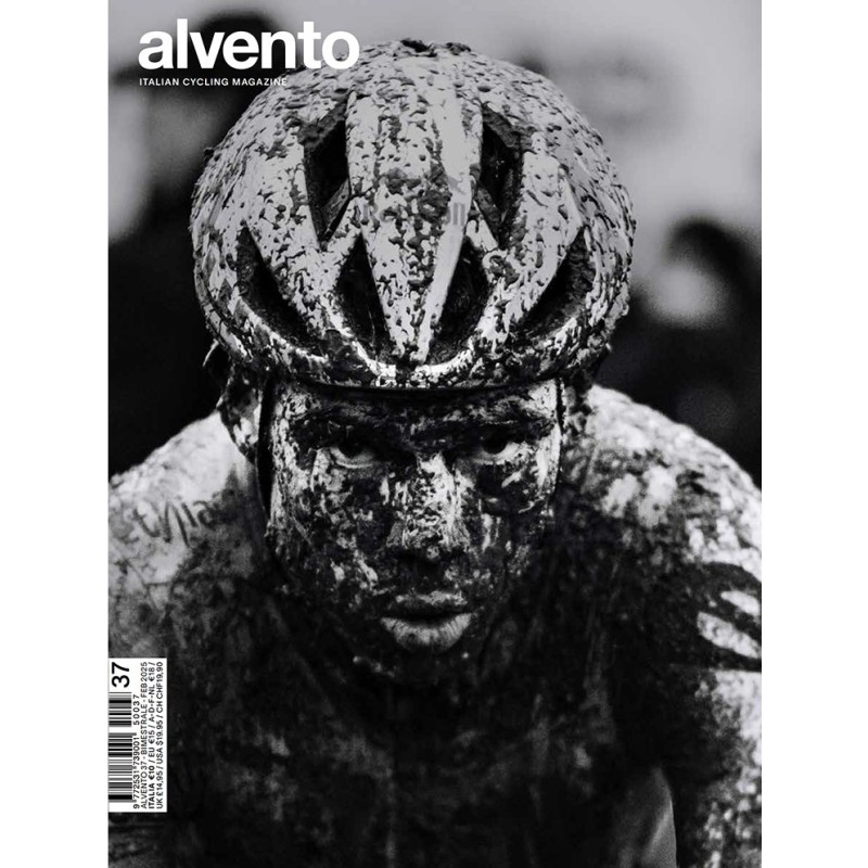ALVE37