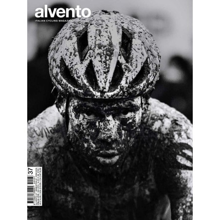 ALVE37