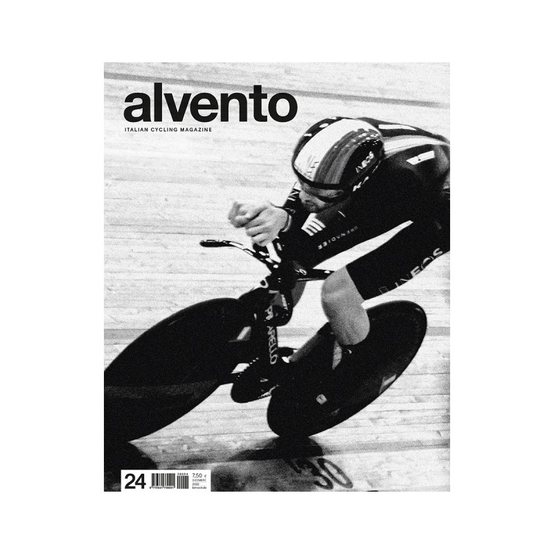 ALVE24