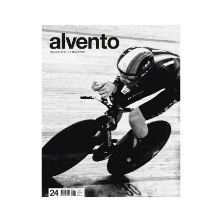 ALVE24