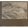 L00010927